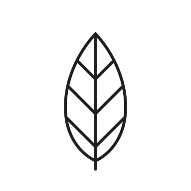 Yaprak çizgisi simgesi. Çevre ve çevre sembolü. Botanik ve doğa tasarım elementleri. basit biçimdeki izole vektör resmi