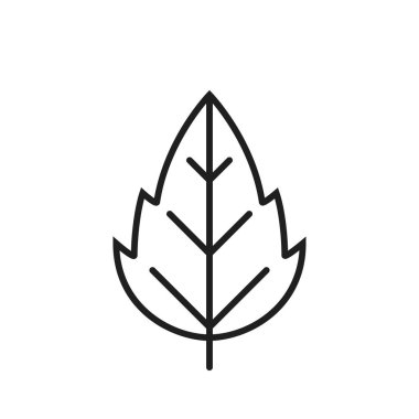 Seratted leaf line simgesi. Eko, botanik ve doğa sembolü. basit biçimdeki izole vektör resmi