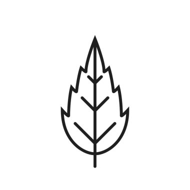 Yaprak çizgi simgesini daralt. Botanik, çevre ve doğa sembolü. basit biçimdeki izole vektör resmi