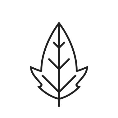 Palmat yaprak çizgisi simgesi. Botanik ve doğa sembolü. basit biçimdeki izole vektör resmi