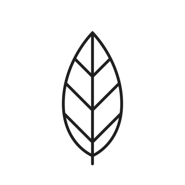 Ikona Řádku Listu Ekoznačka Symbol Prostředí Botanický Přírodně Designový Prvek — Stockový vektor