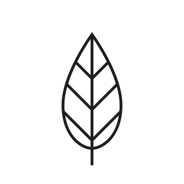 Ikona Řádku Listu Ekosymbol Botanický Symbol Symbol Přírody Izolovaný Vektorový — Stockový vektor
