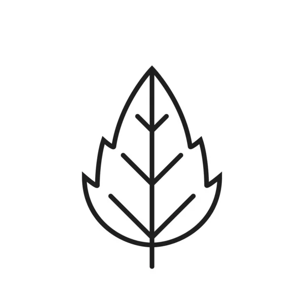 Zoubkovaná Ikona Řádku Listu Ekosymbol Botanický Symbol Symbol Přírody Izolovaný — Stockový vektor