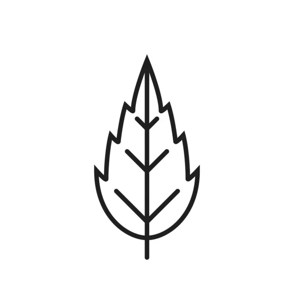 Zúžit Ikonu Čáry Zubu Botanický Symbol Symbol Prostředí Přírody Izolovaný — Stockový vektor