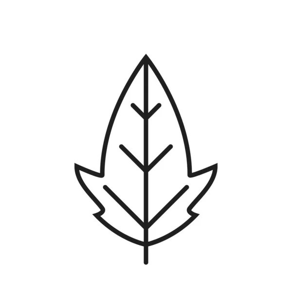Ikona Řádku Listu Palmate Botanický Přírodní Symbol Izolovaný Vektorový Obrázek — Stockový vektor