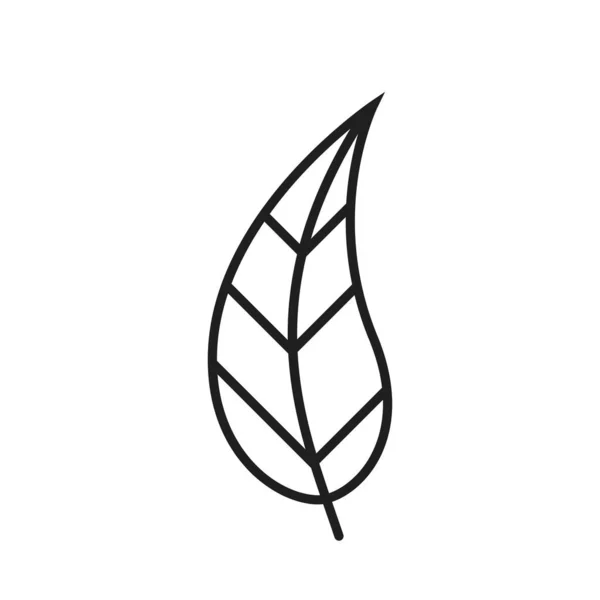 Ikona Zakřivené Čáry Listu Ekosymbol Botanický Symbol Symbol Přírody Izolovaný — Stockový vektor
