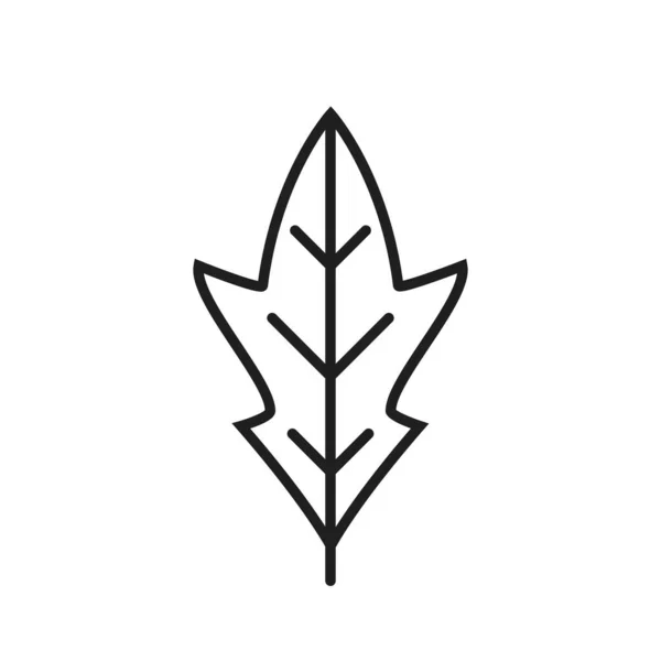 Ikona Řádku Lístku Dubový Botanický Přírodní Symbol Izolovaný Vektorový Obrázek — Stockový vektor