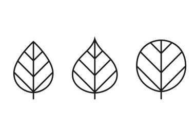 kordon ve yörüngesel yaprak çizgi simgesi seti. Botanik ve doğa sembolü. üç yaprak izole vektör resimleri