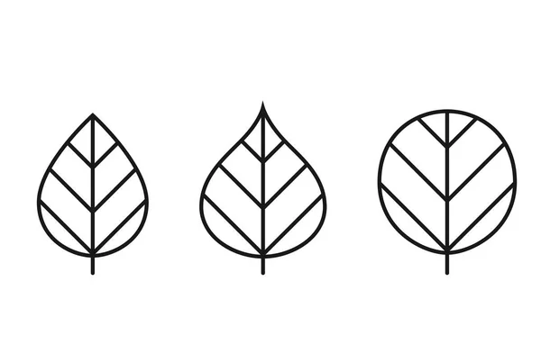 Conjunto Iconos Línea Hoja Cordada Orbicular Símbolo Botánico Naturaleza Tres — Archivo Imágenes Vectoriales