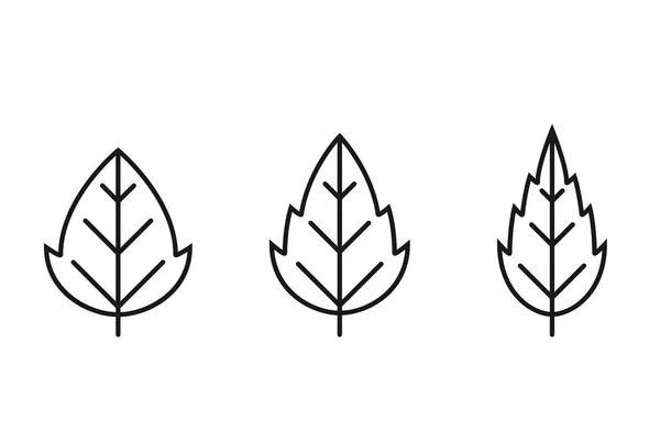 Seratted Linha Folha Ícone Definido Símbolo Botânico Natureza Três Folhas — Vetor de Stock