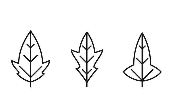 Lobed Leaf Line Icon Set Botanical Nature Symbol Three Leaves — Stock Vector