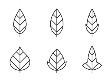 Yaprak şekilleri çizgi simgesi seti. Botanik, doğa ve çevre sembolü. izole vektör resimleri