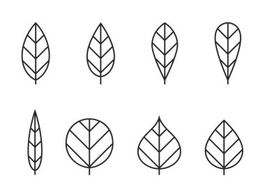 Yaprak çizgisi simgesi seti. Eko, botanik, doğa ve çevre sembolleri. izole vektör resimleri