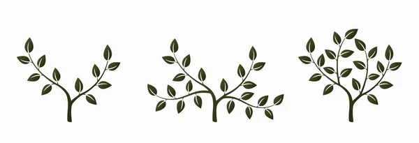 绿树图标设置 植物和植物符号 自然设计元素 孤立矢量图像 — 图库矢量图片