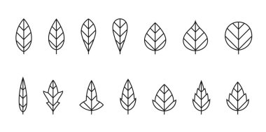 Yaprak çizgisi simgesi seti. Ekolojik ve botanik semboller. Doğa kavramları ve web tasarımı için izole vektör resmi
