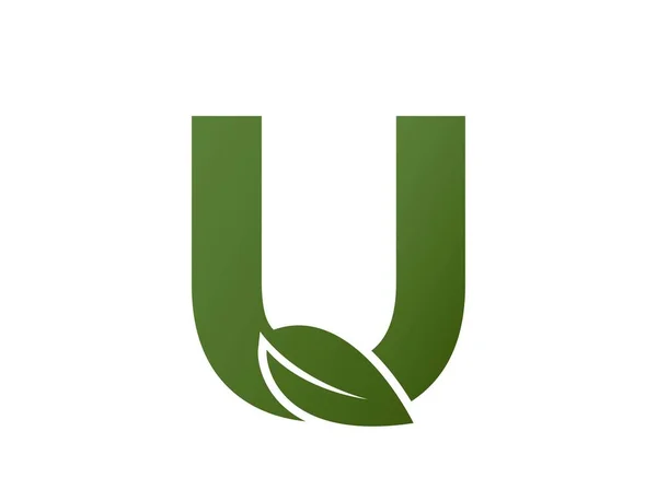 Yaprak logolu ilk harf u. Alfabe logosu tasarımı. Çevre dostu ve çevre sembolü. izole vektör resmi
