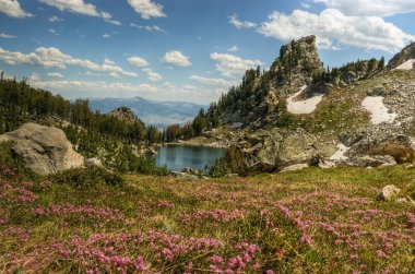 acı bakla çayır ve amfitiyatro Gölü, grand tetons çiçekli