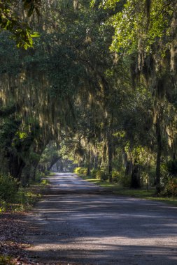 Bonaventure mezarlığı, savannah