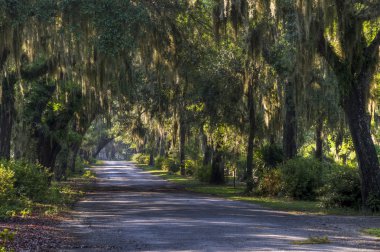 Bonaventure mezarlığı, savannah