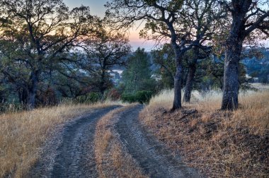 Ranch Road Sunrise clipart