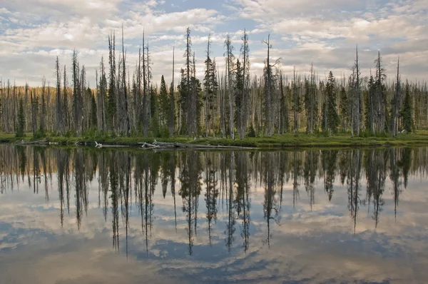 Lewis Lake Reflection — Stock Photo, Image