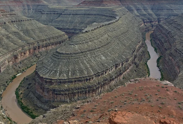 Gooseneck σε glen canyon περιοχή εθνική αναψυχής — Φωτογραφία Αρχείου