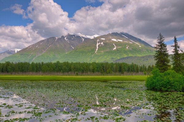 Горная рефлексия на подушечках
