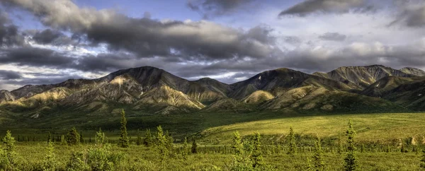 Panorama park narodowy Denali — Zdjęcie stockowe