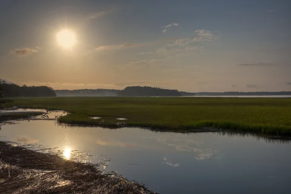 Refúgio de Vida Selvagem da Ilha Pinckney — Fotografia de Stock