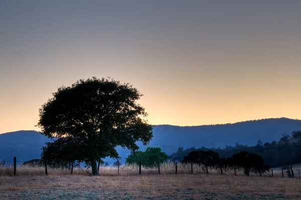 Rancheria Sunset — Stock Photo, Image