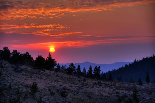 Lever de soleil sur la forêt nationale Custer — Photo