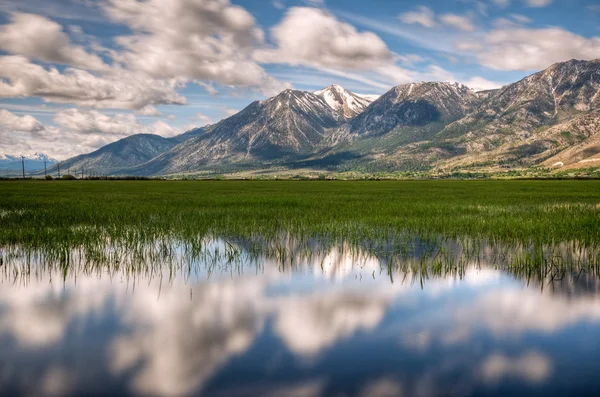 Carson Valley Reflexion — Stockfoto