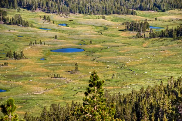 Dana weiden, yosemite — Stockfoto