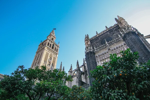 Cathédrale de Seville — Photo