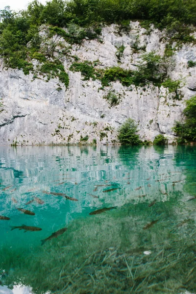 Bellissimo lago blu chiaro e piccola cascata a Plitvice — Foto Stock