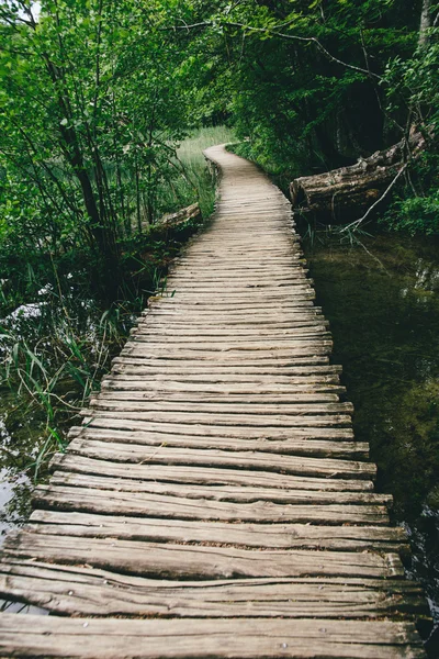 güzel mavi göl ve Plitvice küçük şelale