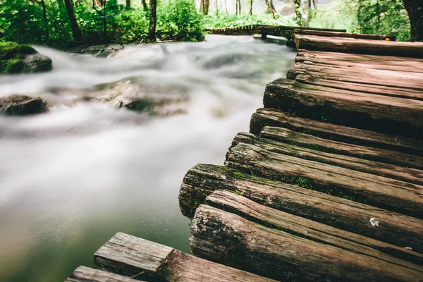 Ruisseau de forêt profonde avec sentier de promenade — Photo