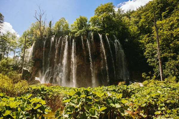 Waterfalls in forest at Plitvice Lakes — Stock Photo, Image