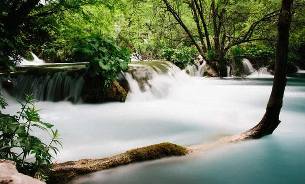 Cascate nella foresta ai Laghi di Plitvice — Foto Stock