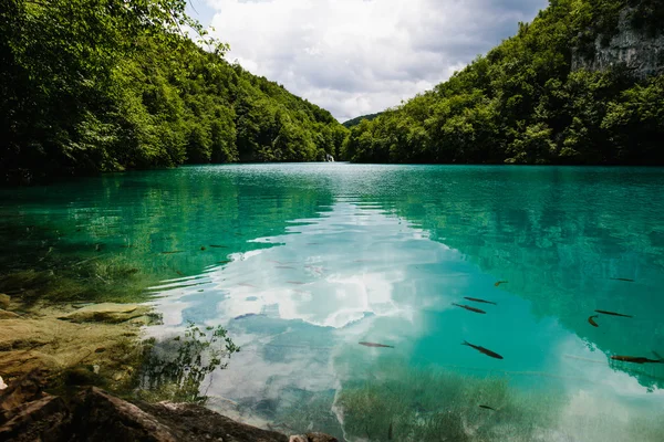 Idilliaco lago blu nella foresta con acqua cristallina — Foto Stock