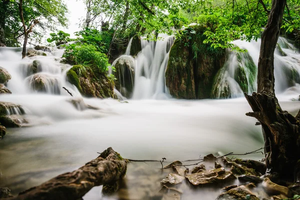 Cascate nella foresta ai Laghi di Plitvice — Foto Stock