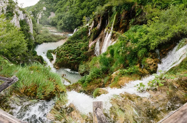 Cascadas en el bosque en los lagos de Plitvice — Foto de Stock