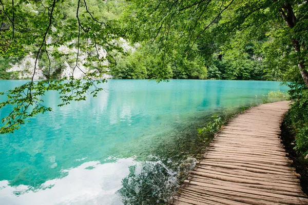 Idilliaco lago blu nella foresta con acqua cristallina — Foto Stock