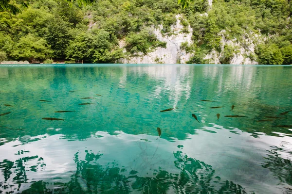 Idilliaco lago blu nella foresta con acqua cristallina — Foto Stock