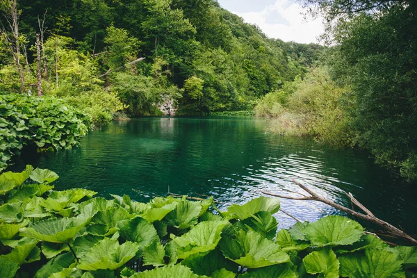 Cascadas en el bosque en los lagos de Plitvice — Foto de Stock