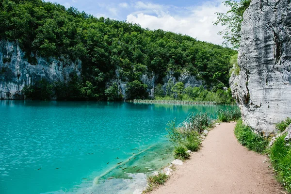 Idylliska blå sjö i skogen med kristallklart vatten Royaltyfria Stockbilder