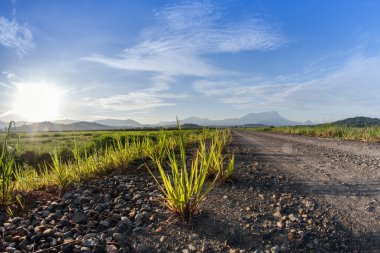 Kampung sangkir, sabah, Malezya bloknot kota kelud, kota kinabalu