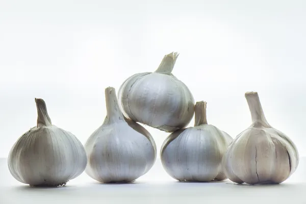 Fresh Organic Garlic Isolated on White — Stock Photo, Image
