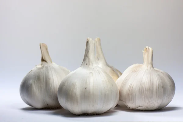 Fresh Organic Garlic Isolated on White — Stock Photo, Image