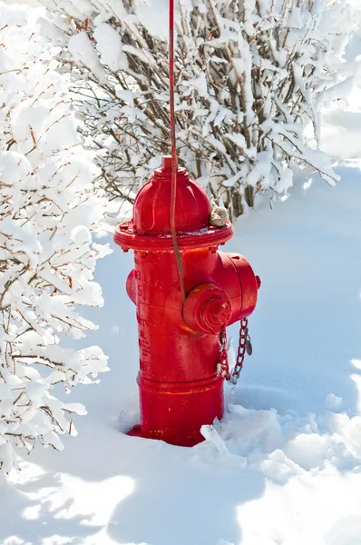 Bouche d'incendie rouge dans la neige — Photo